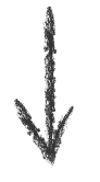 Zigzag Icon
